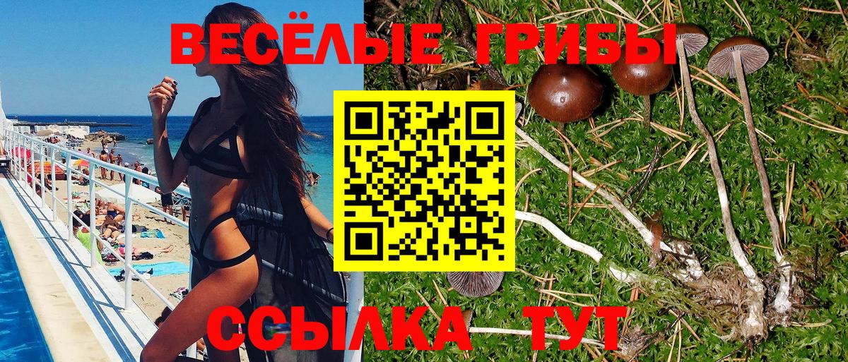 Галлюциногенные грибы мицелий  Вход с VPN  Всеволожск 